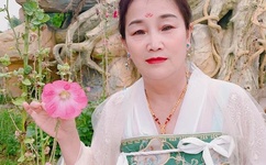 免费无码一区二区三区A片百度